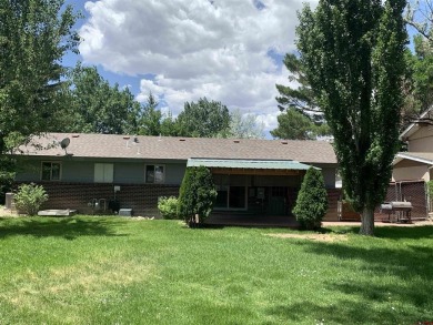 Eric Feely, NextHome Virtual, C: , eric,  : Charming Home in on Black Canyon Golf Club At Montrose in Colorado - for sale on GolfHomes.com, golf home, golf lot