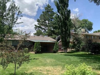 Eric Feely, NextHome Virtual, C: , eric,  : Charming Home in on Black Canyon Golf Club At Montrose in Colorado - for sale on GolfHomes.com, golf home, golf lot