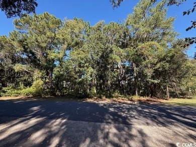 DeBordieu is a very desirable location and this is a rare on DeBordieu Country Club in South Carolina - for sale on GolfHomes.com, golf home, golf lot