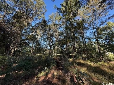 DeBordieu is a very desirable location and this is a rare on DeBordieu Country Club in South Carolina - for sale on GolfHomes.com, golf home, golf lot