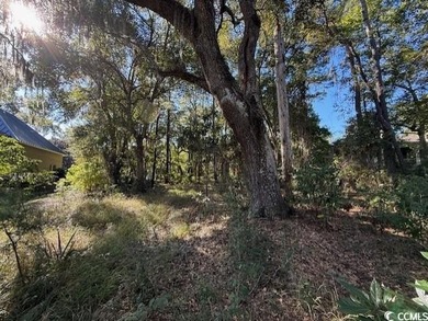 DeBordieu is a very desirable location and this is a rare on DeBordieu Country Club in South Carolina - for sale on GolfHomes.com, golf home, golf lot