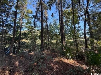 DeBordieu is a very desirable location and this is a rare on DeBordieu Country Club in South Carolina - for sale on GolfHomes.com, golf home, golf lot