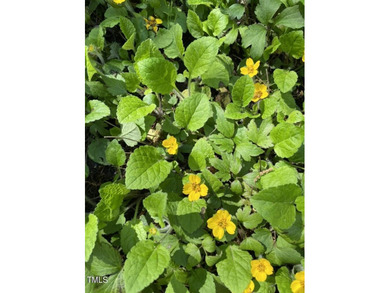 Welcome to this extraordinary residence located in the highly on Governors Club in North Carolina - for sale on GolfHomes.com, golf home, golf lot