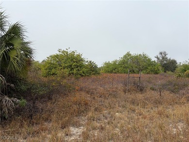 ***THIS IS IT*** Discover an exceptional opportunity on a on Lehigh Resort Club in Florida - for sale on GolfHomes.com, golf home, golf lot