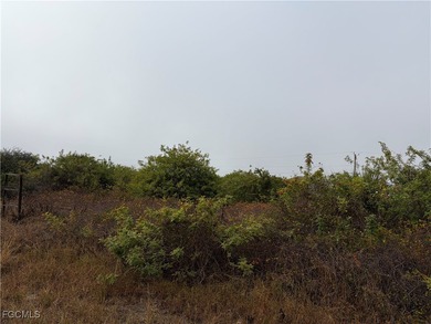 ***THIS IS IT*** Discover an exceptional opportunity on a on Lehigh Resort Club in Florida - for sale on GolfHomes.com, golf home, golf lot