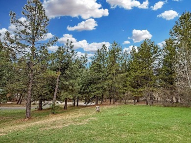 0.1 Mile to Lake Cascade -Bring the whole crew and all the toys! on Cascade Golf Course in Idaho - for sale on GolfHomes.com, golf home, golf lot