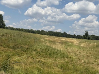 105 acres of rolling land previously Blackford Golf Club. Work on Blackford Golf Club in Indiana - for sale on GolfHomes.com, golf home, golf lot