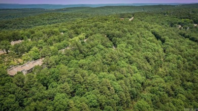 This stunning lake  mountain view lot offers the ideal setting on Mountain Ranch Golf Club in Arkansas - for sale on GolfHomes.com, golf home, golf lot