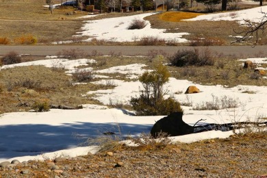 Rebecca Tatum, Sherpa Real Estate, C: , becky,  : Beautiful lot on Rio Grande Golf Club in Colorado - for sale on GolfHomes.com, golf home, golf lot