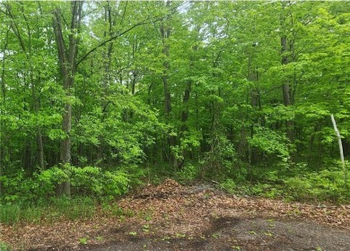 Nice Wooded lot to build your dream home, or to use for on Hardwoods Golf Club At Mille Lacs in Minnesota - for sale on GolfHomes.com, golf home, golf lot