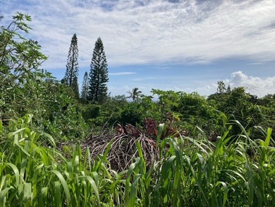 Discovery Harbour - Fantastic lot on the golf course between the on Discovery Harbour Golf Course in Hawaii - for sale on GolfHomes.com, golf home, golf lot