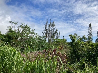 Discovery Harbour - Fantastic lot on the golf course between the on Discovery Harbour Golf Course in Hawaii - for sale on GolfHomes.com, golf home, golf lot