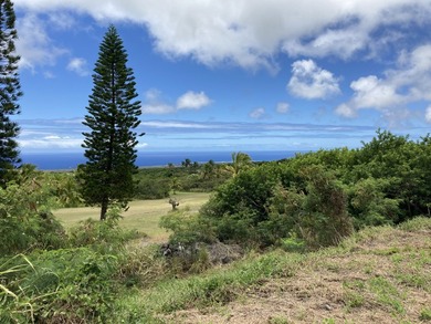 Discovery Harbour - Fantastic lot on the golf course between the on Discovery Harbour Golf Course in Hawaii - for sale on GolfHomes.com, golf home, golf lot