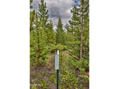 Rare lot in Columbine that backs up to Rocky Mtn. National Park! on Grand Lake Golf Course in Colorado - for sale on GolfHomes.com, golf home, golf lot