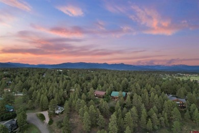 Amy E Johnson, Sherpa Real Estate, C: , amy,  : Built in 2022 on Pagosa Springs Golf Club in Colorado - for sale on GolfHomes.com, golf home, golf lot