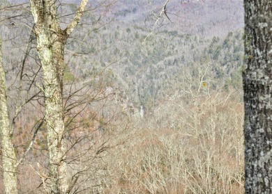 Sitting at just over 3,500 feet in elevation, 1839 Grandview on Bear Lake Golf Club in North Carolina - for sale on GolfHomes.com, golf home, golf lot