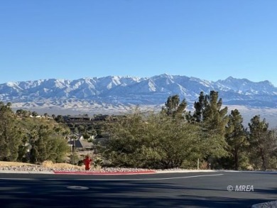 Envelop yourself in luxury. Located in the beautiful gated on Falcon Ridge Golf Course in Nevada - for sale on GolfHomes.com, golf home, golf lot