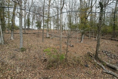 Build your dream home on this stunning golf course lot in the on Peninsula Golf Resort in Kentucky - for sale on GolfHomes.com, golf home, golf lot