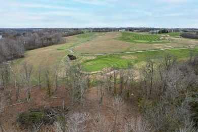 Build your dream home on this stunning golf course lot in the on Peninsula Golf Resort in Kentucky - for sale on GolfHomes.com, golf home, golf lot