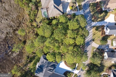 Discover Your Dream Home Site - 356 Millers Branch in Osprey on The Club At Osprey Cove in Georgia - for sale on GolfHomes.com, golf home, golf lot