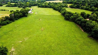 Are you dreaming of living in a community with a neighborhood on Blessings Golf Club in Arkansas - for sale on GolfHomes.com, golf home, golf lot