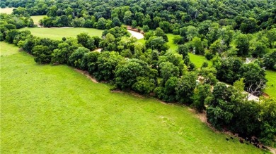 Are you dreaming of living in a community with a neighborhood on Blessings Golf Club in Arkansas - for sale on GolfHomes.com, golf home, golf lot