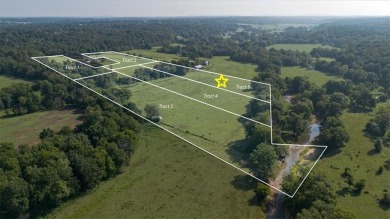 Are you dreaming of living in a community with a neighborhood on Blessings Golf Club in Arkansas - for sale on GolfHomes.com, golf home, golf lot