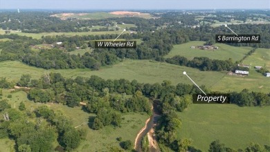 Are you dreaming of living in a community with a neighborhood on Blessings Golf Club in Arkansas - for sale on GolfHomes.com, golf home, golf lot