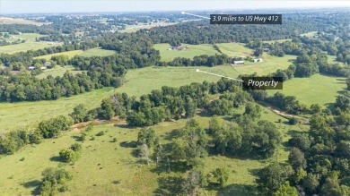 Are you dreaming of living in a community with a neighborhood on Blessings Golf Club in Arkansas - for sale on GolfHomes.com, golf home, golf lot