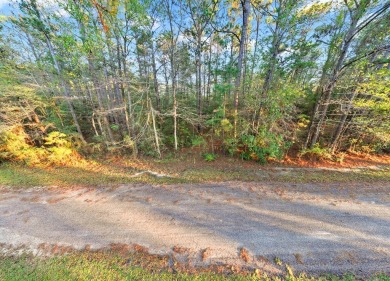Escape to the tranquility of Lake Sam Rayburn with this on Rayburn Country Club in Texas - for sale on GolfHomes.com, golf home, golf lot