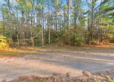 Escape to the tranquility of Lake Sam Rayburn with this on Rayburn Country Club in Texas - for sale on GolfHomes.com, golf home, golf lot