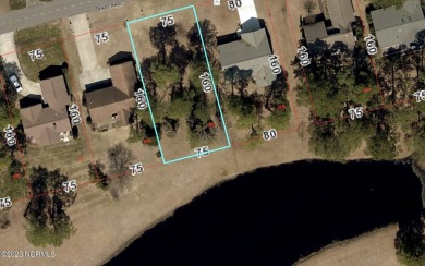 Introducing an extraordinary opportunity to own a luxurious on Harbour Point Golf Club in North Carolina - for sale on GolfHomes.com, golf home, golf lot