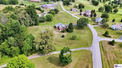 Welcome to this stunning brick home with modern amenities on 4.4 on Elizabethtown Country Club in Kentucky - for sale on GolfHomes.com, golf home, golf lot