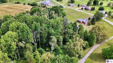 Welcome to this stunning brick home with modern amenities on 4.4 on Elizabethtown Country Club in Kentucky - for sale on GolfHomes.com, golf home, golf lot