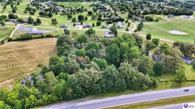 Welcome to this stunning brick home with modern amenities on 4.4 on Elizabethtown Country Club in Kentucky - for sale on GolfHomes.com, golf home, golf lot