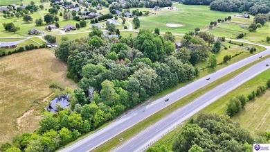 Welcome to this stunning brick home with modern amenities on 4.4 on Elizabethtown Country Club in Kentucky - for sale on GolfHomes.com, golf home, golf lot