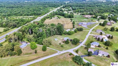 Welcome to this stunning brick home with modern amenities on 4.4 on Elizabethtown Country Club in Kentucky - for sale on GolfHomes.com, golf home, golf lot