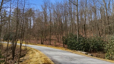 Build your mountain dream home on this easily accessible corner on Trillium Links in North Carolina - for sale on GolfHomes.com, golf home, golf lot