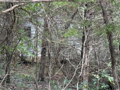 Nice wooded lot in Horseshoe Bend near Lake Pioneer on The Course At Turkey Mountain in Arkansas - for sale on GolfHomes.com, golf home, golf lot