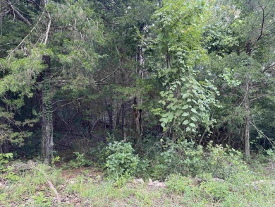 Nice wooded lot in Horseshoe Bend near Lake Pioneer on The Course At Turkey Mountain in Arkansas - for sale on GolfHomes.com, golf home, golf lot