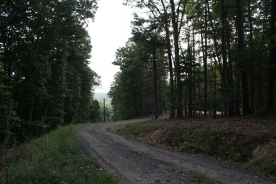 Lot 44 - 3.12 Acres Located in Pipestem Pointe. Pipestem Pointe on Pipestem Golf Club - Regulation in West Virginia - for sale on GolfHomes.com, golf home, golf lot