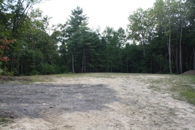Lot 44 - 3.12 Acres Located in Pipestem Pointe. Pipestem Pointe on Pipestem Golf Club - Regulation in West Virginia - for sale on GolfHomes.com, golf home, golf lot