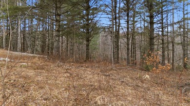 Rare large flat lot offers multiple building possibilities on Trillium Links in North Carolina - for sale on GolfHomes.com, golf home, golf lot