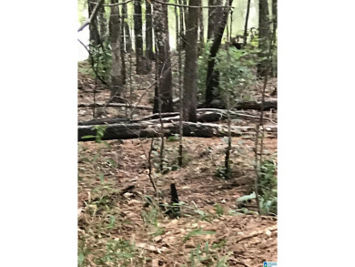 If golf is your passion, this lot is easy access to club or on Alpine Bay Resort in Alabama - for sale on GolfHomes.com, golf home, golf lot