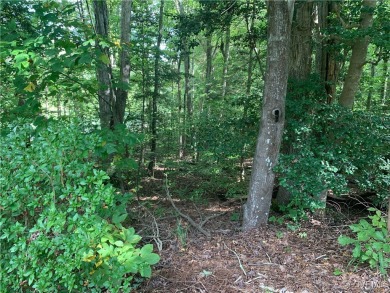 This is your chance to own a wooded DOUBLE lot in the Tanglewood on Tanglewood Shores Golf Club in Virginia - for sale on GolfHomes.com, golf home, golf lot