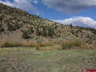 Yvonne Hoffman, Steffens and Company Realty, Inc, C: , hoffman on Rio Grande Golf Club in Colorado - for sale on GolfHomes.com, golf home, golf lot