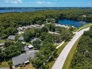 We are pleased to present an upgraded and highly sought after on Lansbrook Golf Club in Florida - for sale on GolfHomes.com, golf home, golf lot
