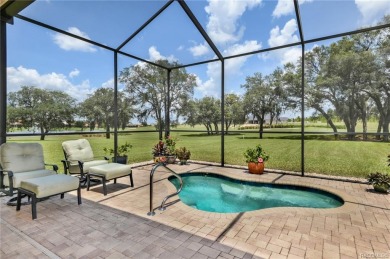 SELLER IS GIVING A DEAL ON THEIR HOME, YOU CAN'T PASS THIS UP! on Skyview At Terra Vista Golf and Country Club in Florida - for sale on GolfHomes.com, golf home, golf lot