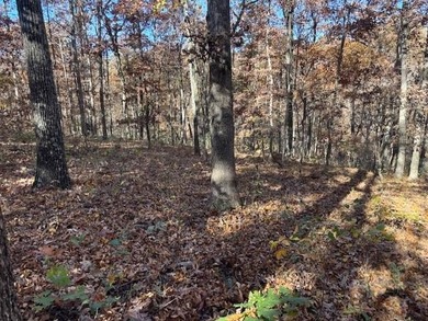 It is possible to find lot that is over one acre, and this is on Bella Vista - Metfield Golf Complex and Country Club in Arkansas - for sale on GolfHomes.com, golf home, golf lot