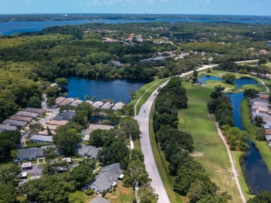 We are pleased to present an upgraded and highly sought after on Lansbrook Golf Club in Florida - for sale on GolfHomes.com, golf home, golf lot